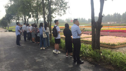 成人直播