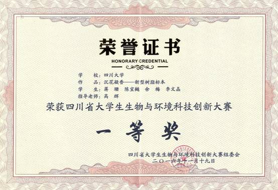 成人直播
