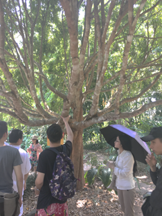成人直播