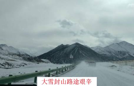 成人直播
